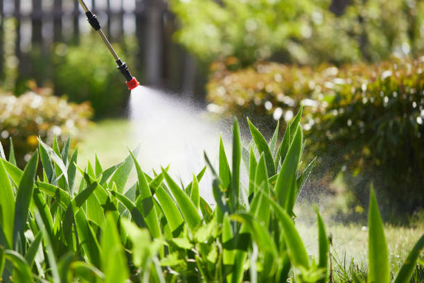 Tamper-Resistant Bait Stations for Rodents in Lake Shore