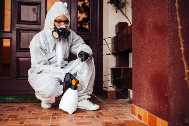 Attic and Crawl Space Rodent Treatment in Lake Shore