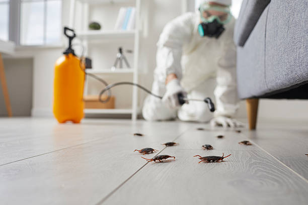 Commercial Rodent Management in Lake Shore